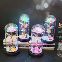 장미 홀로그램 LED, 홀로그램 잉꼬부부