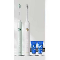 전동 칫솔 추천 진동 자동 치석 가성비 상쾌한 청결, (민트그린-클래식)(칫솔모4개+미백치약)