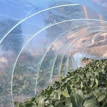 아치형 비닐하우스 단열 헛간 마당 꽃 농업 제배 식물, 두께 11mm 길이 3m 50 인계 25