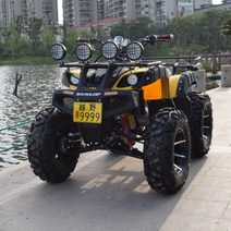 4륜 오토바이 화물 사륜 구동 산악바이크 산악용 레저용 사발이 4발 네발 바이크, 빅 불 250 컴포트 에디션, 1개