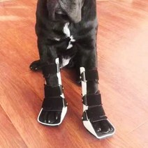 애견동물 강아지 슬개골보호 탈골보호대 관절 수술, 체중) 25kg