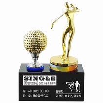 골프트로피/IN-2021-120/홀인원패 싱글패 이글패