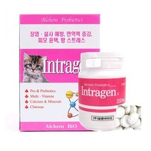 인트라젠 타블렛 200정 고양이영양제 고양이 영양제, 2개