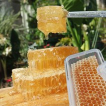 오박사허니콤 아카시아벌집꿀 250g, 1개