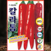 [자운영] 야생화씨앗 자운영 5kg (P059)