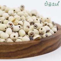 산골소녀 베트남산 거피 연자육, 600g