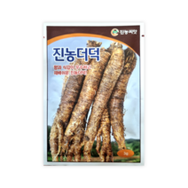 진농더덕 3g 더덕씨앗 우수한 향과 식감 쉬운재배 진농더덕 진농씨앗, 1개