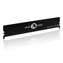 LEADCOOL 튜닝용 더미램