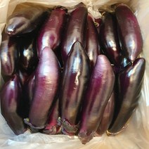 가지 (특) 5kg 싱싱하고 부드러운 국내산 생가지, 01. 가지(특) 5kg