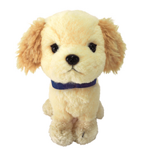 선레몬 빠뿌스! 골든 리트리버 인형 인테리어 소품