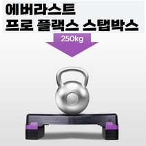 스텝박스 스쿼트 발판 점프 계단운동 계단오르기 2단 3단, FLEX 2단
