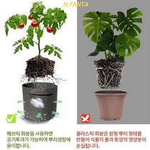 부직포 화분 식물 고구마 키우기 소 30x25 블루베리 감자 고구마 모종 키우기 베란다 텃밭 흙 담기 화분, 단품, 단품