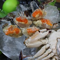연평도 제철 꽃게 산지직송 활꽃게 급냉 숫꽃게 암꽃게 절단 몽당 1kg, 냉동 암꽃게(소) 0.5kg+0.5kg