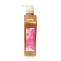데미 헤어시즌즈 아로마시럽스 아일랜드 플라워 트리트먼트550ml (정품)