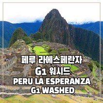 (커피생두) 85 페루 라에스페란자 G1 워시드 1kg