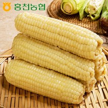 [웰굿] [홍천농협] 산지직송 강원도 홍천 찐 찰옥수수 20개(15cm이상), 상세 설명 참조
