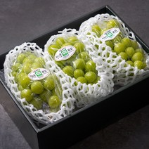 특별한 과일 선물 13종 허니듀 멜론 태국망고 페루 애플망고 선물세트 김천 샤인머스켓 선물세트 허니글로우 파인애플 페루 아보카도 부모님 추석선물, 샤인머스켓 선물세트 3과