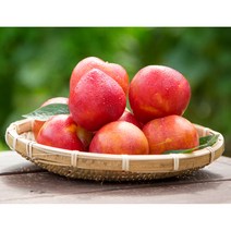 생산자 직접판매 2kg 밀양자두 추희 햇자두 후무사 대석 피자두 프리미엄 임산부 제철과일 김천 의성, 자두, 1kg, 1개