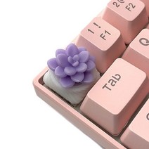Capsmiths Succulent Artisan 아티산 키캡 - Echeveria MX 기계식 게임용 키보드(핑크), 보라