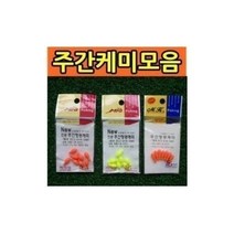 gjj몰/ 주간케미 모음전/형광/돋보기/찌사랑/민물/낮중층/내림/낚시 x전문매