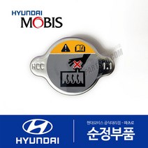그랜저IG 순정 라디에이터 캡 뚜껑 (연식무관)