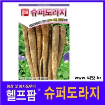 도라지씨앗종자 슈퍼도라지(6g)
