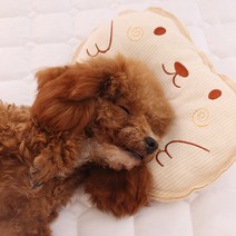 강아지 쿠션 베개 애견방석 마약방석 애견 꿀잠 방석, 아기곰(베이지)