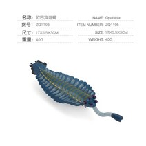 암모나이트 벨렘나이트 고대 해양 생물 피규어 중생대 오프탈모사우루스 12개, C