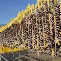[정가네수산] 속초 산지직송 생물 양미리 1kg (30미 내외) 반건조 양미리 1두름(20미), 반건조 양미리 3두름
