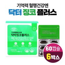 기억력 혈행 건강엔 닥터 징코 플러스 은행잎추출물 플라보놀배당체 EPA DHA 함유 유지 오메가3, 6개, 60캡슐