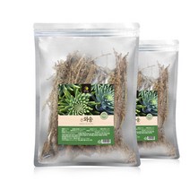 국내산 와송 건재 100g 건와송 100% 100gx2팩10 + 사은품 와송효능 신탑 탑송 바위솔 와송차 와송물 와송탕 약재 공기좋은경북김천에서손수키웠습니다 항산화 비타민 와송추천, 2팩