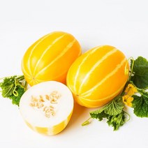 신선코리아 성주참외 산지직송 못난이 가정용 고급 선물용 황금참외 1kg 2kg 5kg 10kg, 가정용 못난이, 7kg