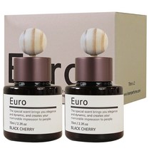유로 차량용 방향제 디퓨저 70ml x 2 + 차량용 거치대 + 우드볼, 오션뷰, 1세트