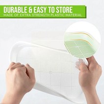 아파트 베란다 거실 콩나물 키우기 식목일 농촌 체험 홈 정원 수경 땅콩 새싹 상자 콩 완두콩 밀 새싹 발아 묘목 잔디 성장 냄비 흙 없는 심기 tra b9f0