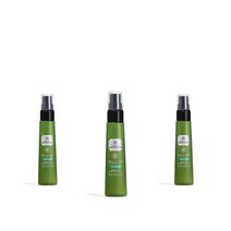 The Body Shop Drops of Youth Bouncy Face Mist Edelweiss Sea Holly 더바디샵 페이스 미스트 에델바이스 씨 홀리 앤 크리스트 마린, 3팩