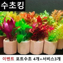 수초맛집 수초킹 키우기 쉬운 포트수초 랜덤 4종 세트 + 서비스(모스볼 마리모 부상초 비료 개운죽 피규어 등), 1개