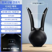 슈드레서 운동화 살균기 장화 신발 건조기 슈스타일러 관리기 가정용 소형 탈취 드라이, 프리미엄(급속건조+오존)