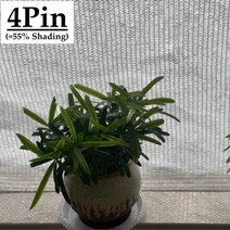 선쉐이드 차양막 그늘막 차광 흰색 방지 차양 그물 쉼터 야외 농업 정원 다육 식물 커버, 4Pin White+6mx6m