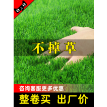 잔디 베란다 인테리어 잔디매트 블록 옥상 테라스, 2.0cm 인조잔디 고급 모델 10평방미터