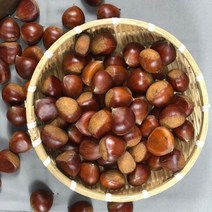 알밤 햇밤 밤 칼집밤 부여 생밤 생율 약단밤 공주 제사 제수 1kg 2kg 4kg, 일반4kg, 1개