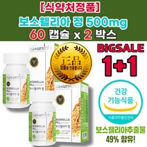 무릎 허리 손 가락 근육 관절 통 증 염 양 제 뼈 에 좋은 영양 제 비타민D 아연 보스웰리아 효능
