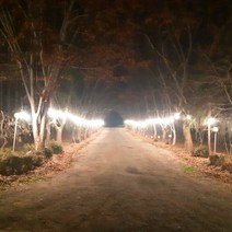 그린라이트조명 파티라이트30M 28구 스트링라이트 루프탑조명 카페조명 펜션조명 연등선 야외조명 파티라이트