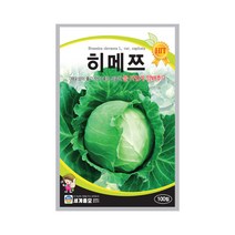 히메쯔 100립 양배추씨앗 재포성 좋음 볼타입 양배추, 1개