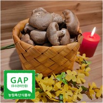 농가직송 GAP인증 B급 표고버섯 못난이버섯 1kg, 10kg B급