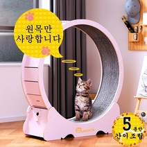 런캣 무소음 간단 설치 원목 캣휠 고양이캣휠, M(91*36*98), 간이 설치, 베이지핑크, M(91*36*98)