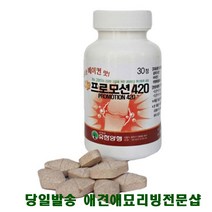 강아지파우더 포메간식 포메라인안간식 강아지골절 슬개골탈구영양제