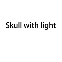 폴라로이드카메라 Vip link2, 17 Skull with lights