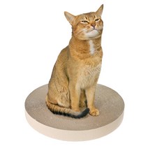 띵가띵가 대형 지름 50cm 호환 리필 스크레쳐 x 3P / 로마제국 지름 50cm circle 스크래쳐 호환 리필 3P /