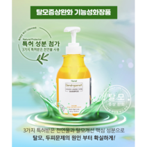하니엘 황칠 스칼프 케어 샴푸 530g