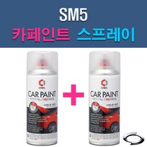 르노삼성 SM5 BPE EEA QXB EEB EEC GXA EEJ EEP MG FSE KXA KXC PSE QXA WXC 자동차 차량용 도색 카페인트 스프레이 세트, 1-13. WXC 마르스그레이+투명